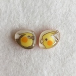 手描き♡オカメズのアシンメトリーピアス・イヤリング（インコ、オカメインコ、小鳥、cockatiel）