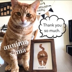 annima様　専用
