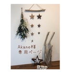 ✴︎Akane様専用ページ✴︎