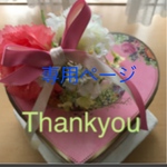 専用ページ