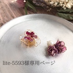 lite-5593様専用ページ