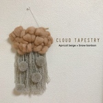 【13】Cloud tapestry   〜くもりドキドキ〜
