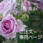 y様専用ページ
