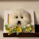 額縁犬お花付きオーダー受付中‼️