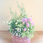 お花とリーフがいっぱいの寄せ植え* 