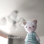 ＊ 春待つ Cat＊