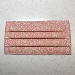 マスク　蕾　大人用　プリーツマスク　ワイヤー入り　