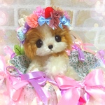 ♡ベビーキャバリアちゃん♡