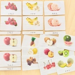 絵カード　果物カード　データ販売