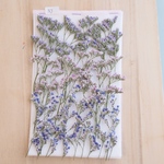 押し花ブルーファンタジア セット