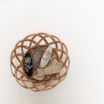 Beige ribbon & 3 colors joli-pin set