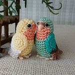 ＊humuzu様オーダー品；コザクラインコ