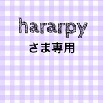 【hararpyさま専用】マスクセット