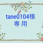 tane0104様専用 マスク 大人 猫 スタディオクリップ