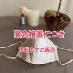 軽いつけ心地シルクのマスク 大人用