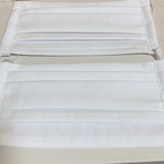 布 マスク 白 2枚セット ハンドメイド 大人用 ふつうサイズ プリーツ