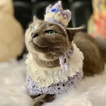 猫用 王冠&ポンチョ「ピィちゃんのプリンスセット」
