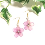 サクラの押し花ピアス