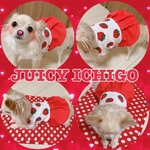 新作おすすめ❤️JUICY ICHIGO🍓✨