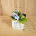 Petit Green Arrange 379