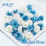 #A37かすみ草_コバルトミックス