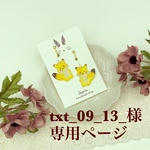 txt_09_13_様専用ページです