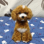 ご注文品 あみぐるみ☆チワプーちゃん