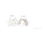専用ページ