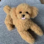 羊毛フェルト　犬　トイプードル【レッド】