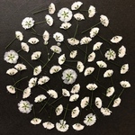 かすみ草 ヘッド ♡ 押し花 素材