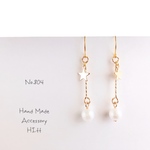 pierce/earring.804