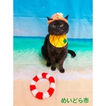 再再再入荷！パイナップルバンダナ、猫ちゃんの首輪