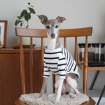 マリンボーダー🐠