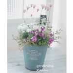 お花でほっこり🌸ꫛꫀꪝ✧‧˚ローダンセマムの寄せ植え
