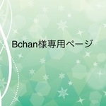 Bchan様専用ページ