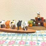 並べて飾ってねこだらけ 5