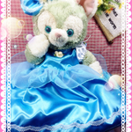 ジェラトーニ☆プリンセスコスチューム2点セット