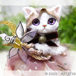 【Fairy cat】金の魔法使い