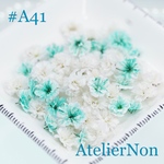 #A41かすみ草_エメラルドミックス