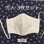 送料無料 3枚セット 立体マスク 大人サイズ
