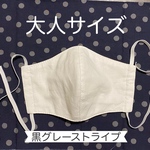 送料無料 立体マスク 大人サイズ