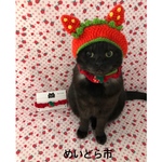 再再再入荷！いちごモチーフシュシュ、猫ちゃんの首輪