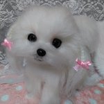 ニッコリマルチーズちゃん