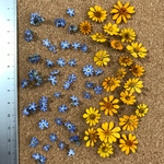 ドライフラワー　忘れな草・メランポジューム    