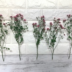 リトルウッズ ドライフラワー バラ 薔薇