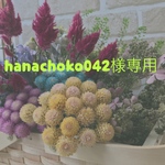 hanachoko042様専用ページ