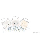 専用ページ