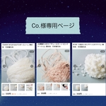 ★Co.様専用ページ★