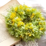 プリザーブドフラワー＊紫陽花のリース＊モリソニアのリース＊ナチュラルリース＊結婚祝い＊お誕生日＊母の日ギフト