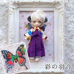 小さいドール羽･オビツ11